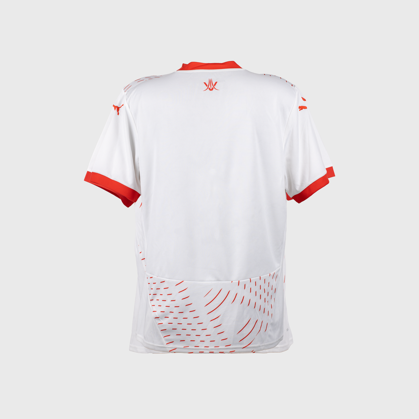 Puma CR Belouizdad 2024-2025 Men's/Women's Jersey – Algeria Football