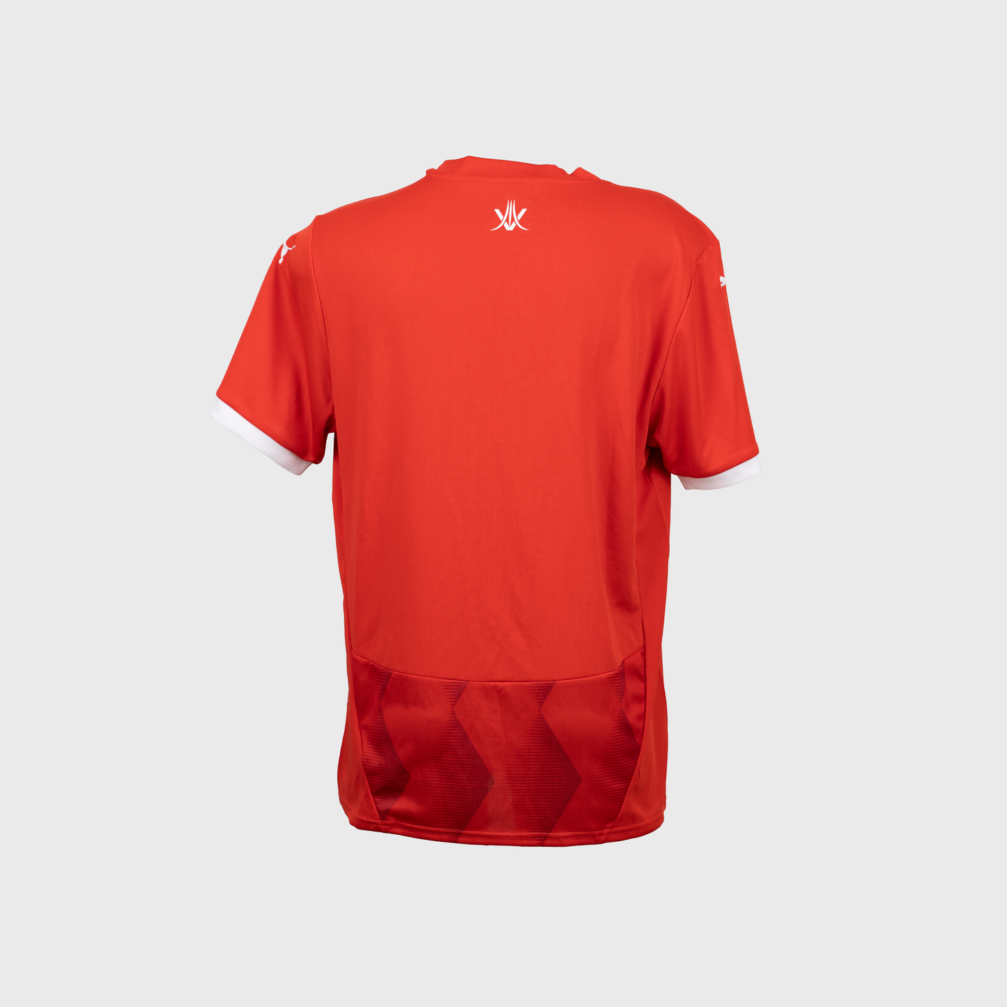Puma CR Belouizdad 2024-2025 Men's/Women's Jersey – Algeria Football
